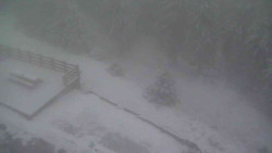 Přístup na běžeckou trať