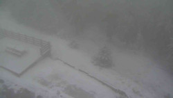 Přístup na běžeckou trať