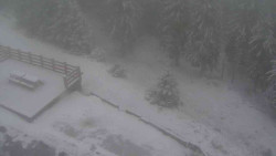 Přístup na běžeckou trať