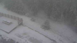 Přístup na běžeckou trať