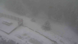 Přístup na běžeckou trať