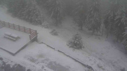 Přístup na běžeckou trať