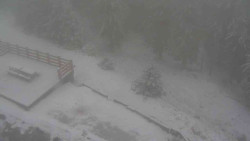 Přístup na běžeckou trať