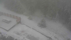 Přístup na běžeckou trať