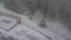 Přístup na běžeckou trať