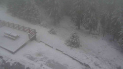 Přístup na běžeckou trať