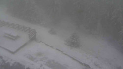 Přístup na běžeckou trať