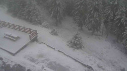 Přístup na běžeckou trať