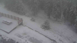 Přístup na běžeckou trať