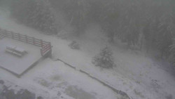 Přístup na běžeckou trať