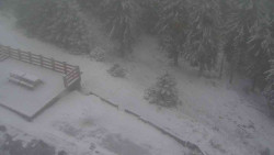 Přístup na běžeckou trať