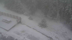 Přístup na běžeckou trať