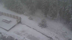 Přístup na běžeckou trať