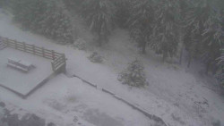 Přístup na běžeckou trať