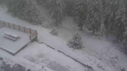 Přístup na běžeckou trať