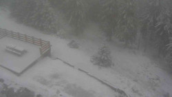 Přístup na běžeckou trať