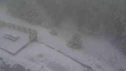 Přístup na běžeckou trať