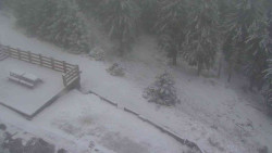 Přístup na běžeckou trať