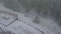 Přístup na běžeckou trať