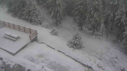 Přístup na běžeckou trať