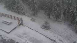 Přístup na běžeckou trať