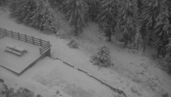 Přístup na běžeckou trať