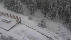 Přístup na běžeckou trať