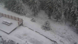 Přístup na běžeckou trať