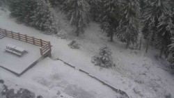 Přístup na běžeckou trať