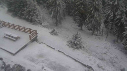 Přístup na běžeckou trať