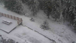 Přístup na běžeckou trať