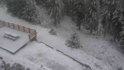 Přístup na běžeckou trať