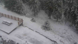 Přístup na běžeckou trať