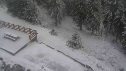 Přístup na běžeckou trať