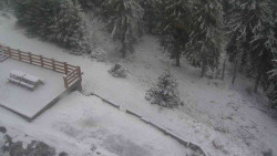 Přístup na běžeckou trať