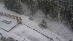 Přístup na běžeckou trať