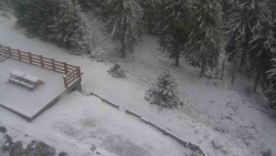 Přístup na běžeckou trať