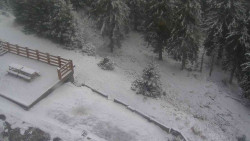 Přístup na běžeckou trať