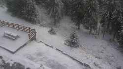 Přístup na běžeckou trať