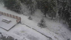 Přístup na běžeckou trať