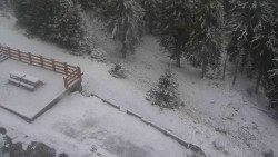 Přístup na běžeckou trať