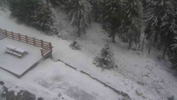 Přístup na běžeckou trať