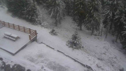 Přístup na běžeckou trať