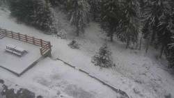 Přístup na běžeckou trať