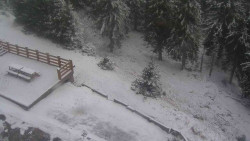 Přístup na běžeckou trať