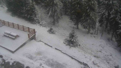 Přístup na běžeckou trať