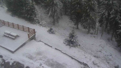 Přístup na běžeckou trať