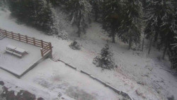 Přístup na běžeckou trať