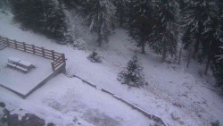 Přístup na běžeckou trať