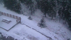 Přístup na běžeckou trať